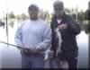 Click to Enlarge Big Bass 12.